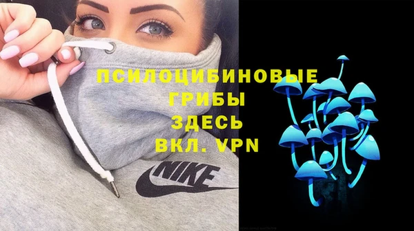 MDMA Premium VHQ Медвежьегорск