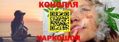 Альфа ПВП Канаш