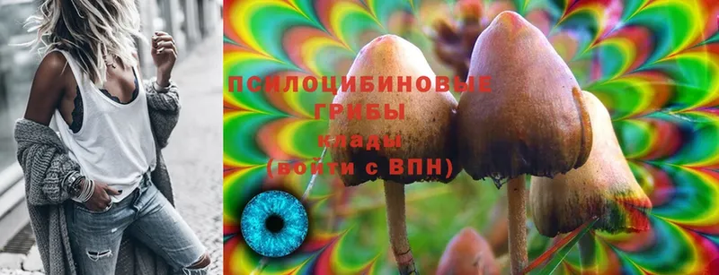 Галлюциногенные грибы MAGIC MUSHROOMS  Михайловск 