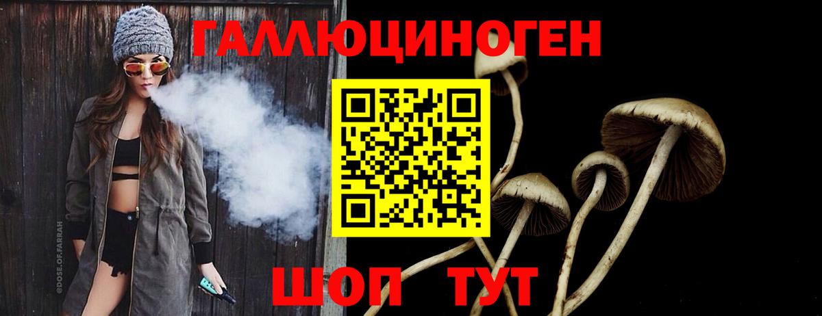магазин    Вход с VPN  Михайловск  Псилоцибиновые грибы мухоморы  Псилоцибиновые грибы Cubensis 